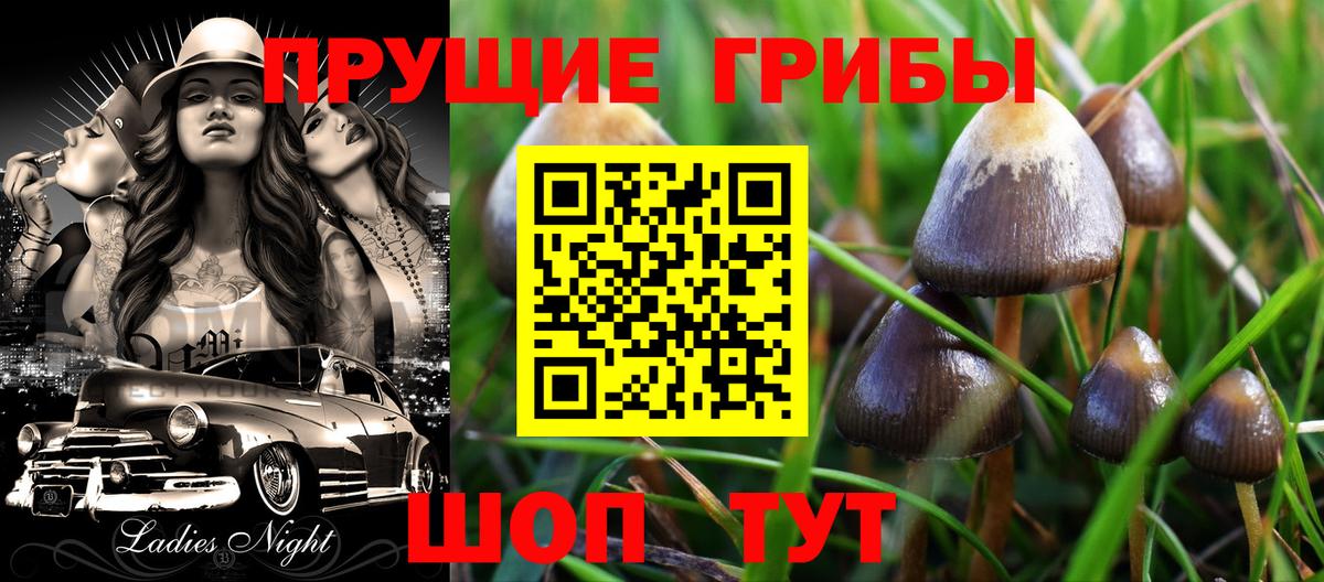 Псилоцибиновые грибы мицелий  как найти закладки  Алапаевск  Вход с VPN 