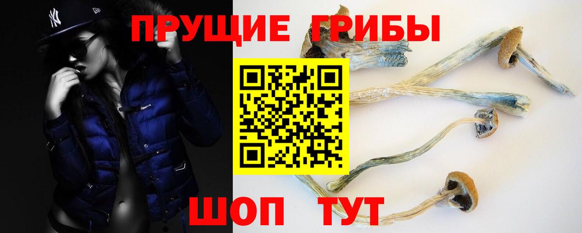 Галлюциногенные грибы прущие грибы Алапаевск